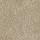 Tarkett Home Carpets: Serenade Antique Beige